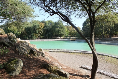 étang des Hautes-Bornes
